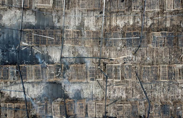 Khon kho di dan lam canh “man troi chieu dat” giua troi lanh gia-Hinh-5