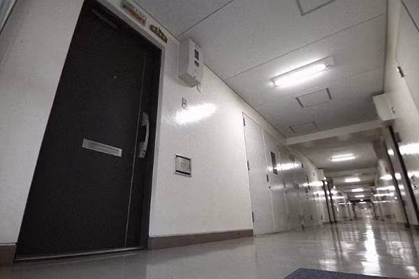 Hai me con o Nhat chet doi giua dich COVID-19 gay soc