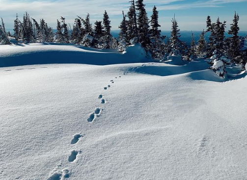 Tuyết bao phủ khu nghỉ dưỡng trượt tuyết Sheregesh ở Siberia.