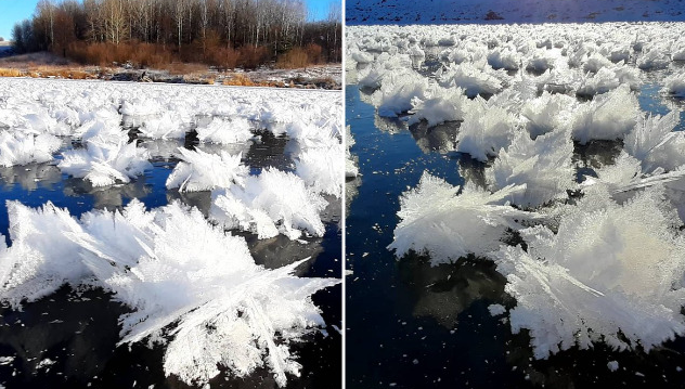 Hoa sương giá xuất hiện trên dòng sông đóng băng vì cái lạnh khắc nghiệt của mùa đông ở nước Nga.