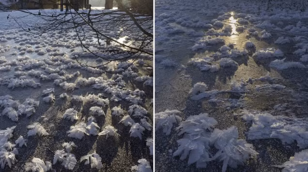 Toan canh nuoc Nga chim trong mua dong lanh gia-Hinh-6