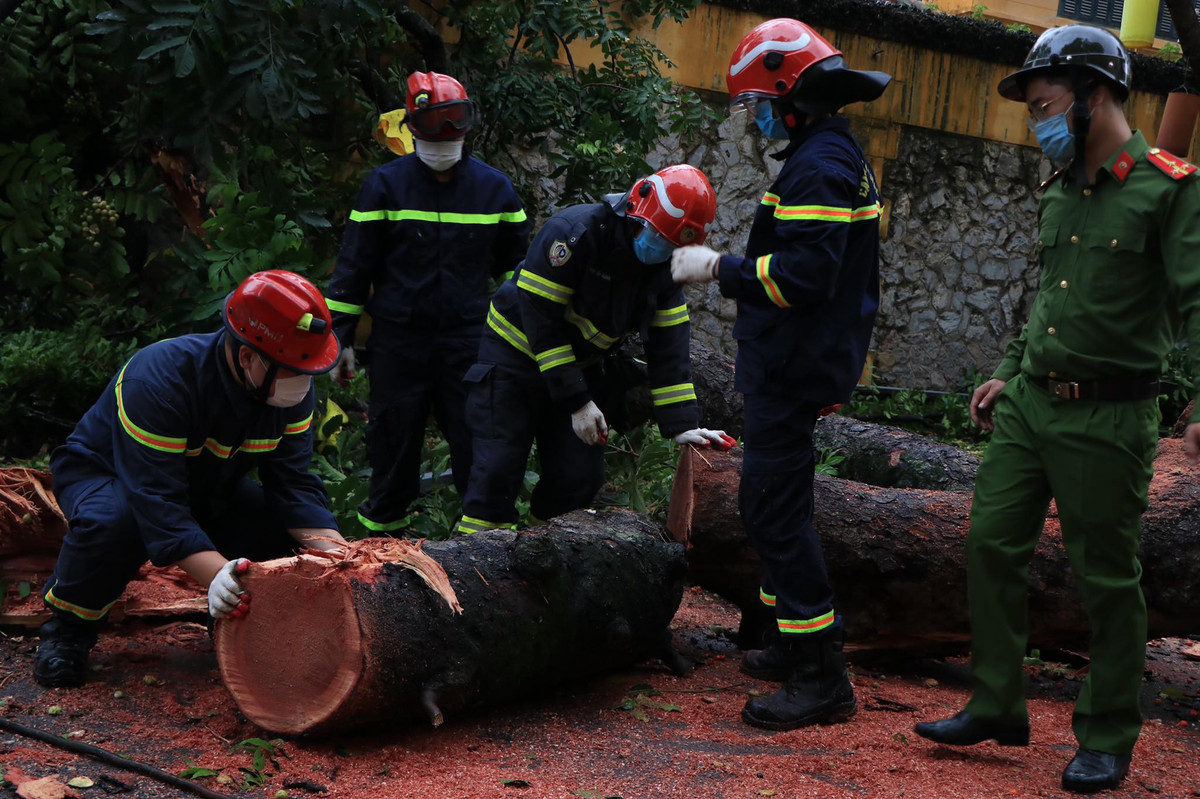 Dự kiến khoảng 4 giờ sáng 13/6, bão số 2 ở ngay trên vùng biển Vịnh Bắc Bộ. Sức gió mạnh nhất vùng gần tâm bão mạnh cấp 8, giật cấp 10. 