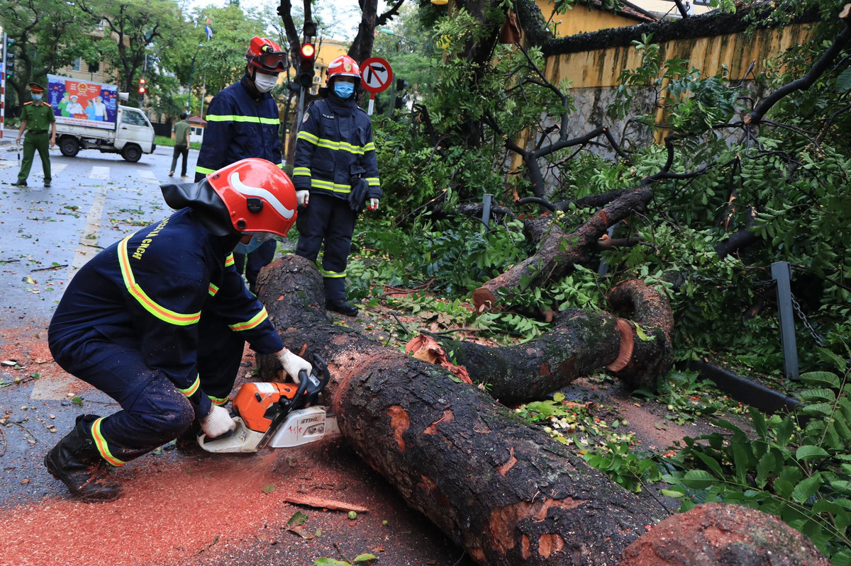 Theo một người dân kể lại, sự việc xảy ra vào. khoảng gần 5h cùng ngày. Vào thời điểm trên trời Hà Nội không ưa tuy nhiên sau một cơn gió lớn khiến cây bị bật gốc. Theo quan sát cây cổ thụ có bán kính khoảng 70cm. Rất may thời điểm xảy ra vụ việc vào sáng sớm nên không có người đi qua. 