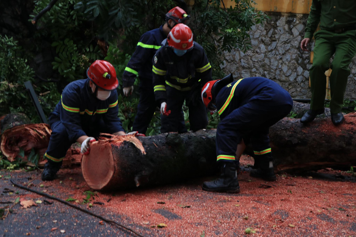 Nhiệm vụ trọng tâm là bảo đảm an toàn công trình, tính mạng, tài sản của nhà nước và an toàn tuyệt đối cho người dân, nhất là ở những vùng trũng thấp, có nguy cơ ngập lụt, sạt lở đất trong mưa bão. 