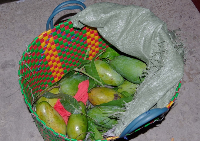  20 kg ma túy tổng hợp ngụy trang dưới các giỏ xoài: Ngày 10/6, Công an quận Bình Tân, TP HCM cho biết vừa bắt giữ Nguyễn Ngọc Long (SN 1987, quê Đồng Tháp) và Võ Văn Hưng (SN 1982, quốc tịch Campuchia, ngụ Đồng Tháp) vận chuyển 20 kg ma túy từ Đồng Tháp lên TP HCM tiêu thụ. 2 đối tượng đã ngụy trang ma túy vào nhiều túi trà được che giấu trong các giỏ xoài nhằm qua mắt lực lượng chức năng. 