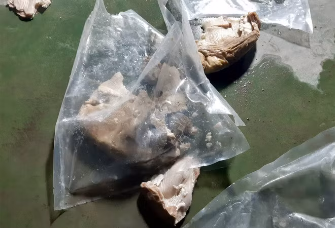 Hiện vụ triệt phá đường dây giấu ma túy vào dạ dày lợn và máy phát điện đang được cơ quan chức năng điều tra, làm rõ.