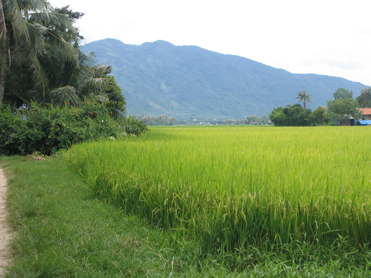  Trốn cách ly đi làm ruộng, người nông dân ở Bắc Giang bị phạt 5 triệu: Ngày 16/6, Công an huyện Yên Dũng, Bắc Giang đã xử phạt 5 triệu đồng đối với anh Trần Văn L. (SN 1972, ở thôn Nam, xã Đồng Việt, huyện Yên Dũng) về hành vi vi phạm quy định về cách ly y tế. Theo đó, đang trong thời gian cách ly y tế tại gia đình nhưng anh L. vẫn ra ruộng dưa hấu của gia đình để làm việc. (Ảnh minh họa) 