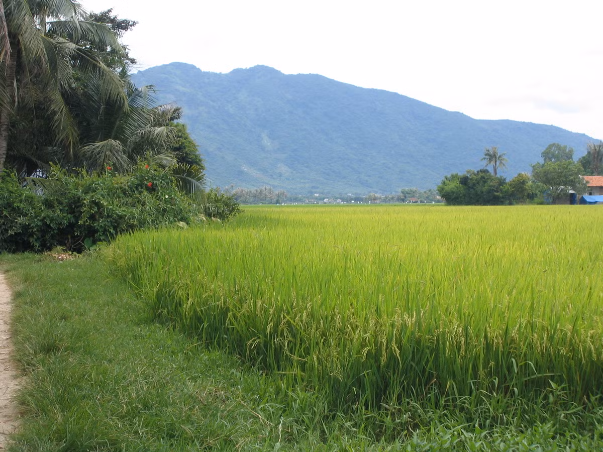  Trốn cách ly đi làm ruộng, người nông dân ở Bắc Giang bị phạt 5 triệu: Ngày 16/6, Công an huyện Yên Dũng, Bắc Giang đã xử phạt 5 triệu đồng đối với anh Trần Văn L. (SN 1972, ở thôn Nam, xã Đồng Việt, huyện Yên Dũng) về hành vi vi phạm quy định về cách ly y tế. Theo đó, đang trong thời gian cách ly y tế tại gia đình nhưng anh L. vẫn ra ruộng dưa hấu của gia đình để làm việc. (Ảnh minh họa) 