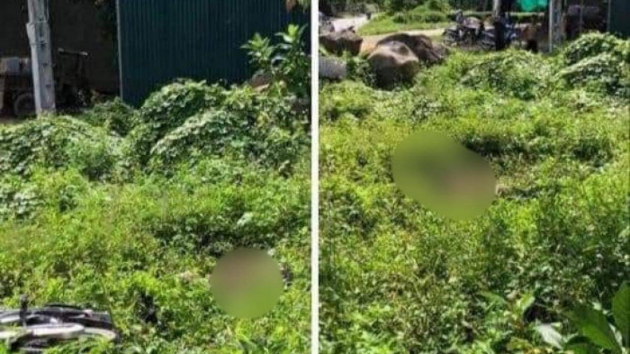 Nam thanh nien 18 tuoi tu vong bat thuong nam giua bui co