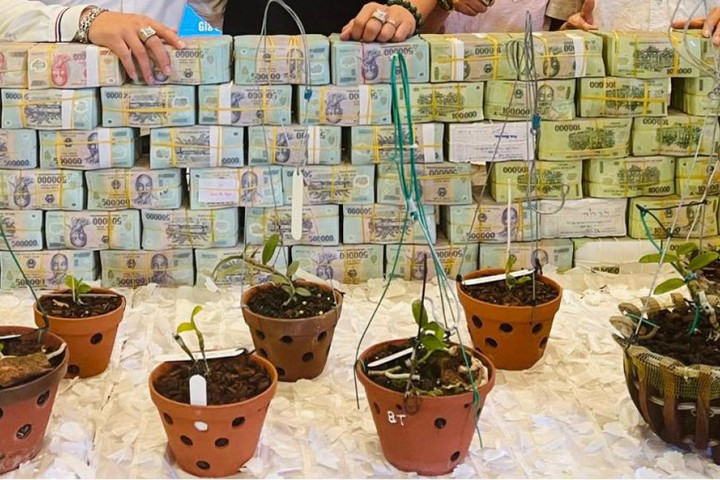 Canh bao “bay lua” lien quan den trao doi, chuyen nhuong lan dot bien