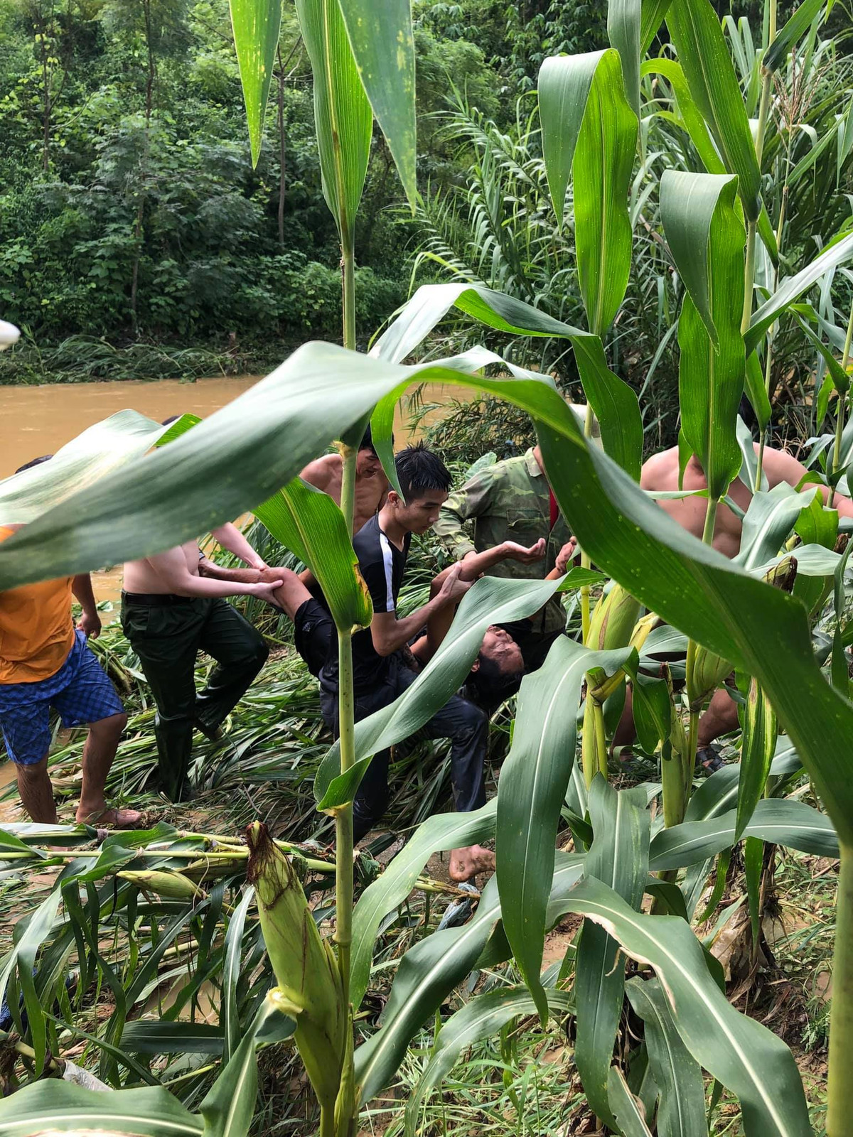 Hành động dũng cảm, không ngại hiểm nguy, sẵn sàng lao mình xuống dòng nước lũ của đại uý Hoàng Ngọc Hào đã được Nhân dân địa phương hết lời ngợi khen, khâm phục. 