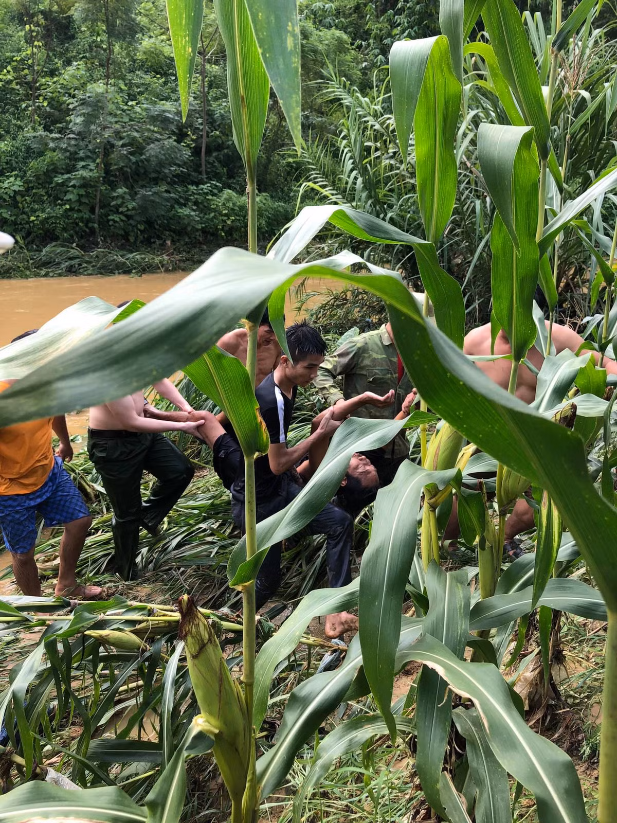 Hành động dũng cảm, không ngại hiểm nguy, sẵn sàng lao mình xuống dòng nước lũ của đại uý Hoàng Ngọc Hào đã được Nhân dân địa phương hết lời ngợi khen, khâm phục. 
