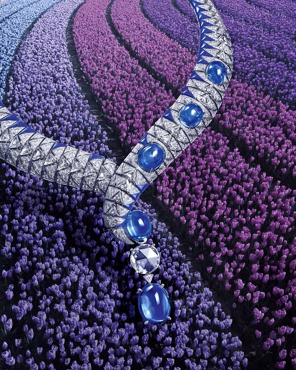 Ly do loai ran xuat hien tren nhung mon do trang suc xa xi