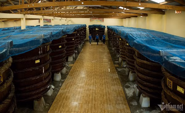 Nghe lam nuoc mam di san quoc gia o Phu Quoc-Hinh-5