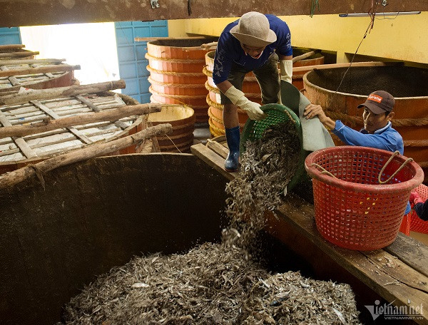 Nghe lam nuoc mam di san quoc gia o Phu Quoc-Hinh-4