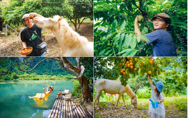 Thung lung xanh cach Ha Noi 130km, khach toi an dac san, cam trai-Hinh-9