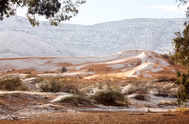 Nhìn hình ảnh này không ai có thể nghĩ rằng mình đang ở giữa sa mạc Sahara. Ảnh: Mirror.