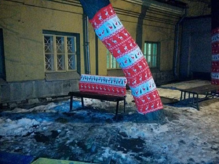 Cây và ghế cũng có “áo đôi”. Ảnh: ER.