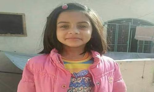 Cảnh sát Pakistan đang truy bắt thủ phạm sát hại bé Zainab. Ảnh: Daily Mail.