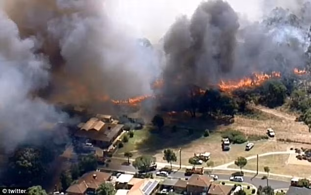 Đợt nắng nóng nghiêm trọng ở Australia này cũng đã gây ra hàng chục vụ cháy rừng tại bang Victoria và phá hủy hàng trăm ngôi nhà. Ảnh: Daily Mail.