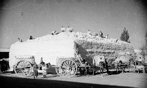 Cuộc sống ở đất nước Uzbekistan thời Liên Xô phần nào được tái hiện qua những bức hình của nhiếp ảnh gia Max Penson. (Nguồn ảnh: Max Penson)