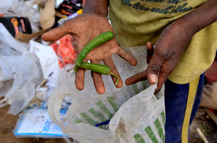 Bé Ayoub cầm những quả ớt xanh tìm được trong bãi rác và bỏ vào túi.