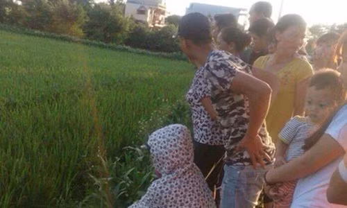 Con trai rung roi nhin thay me tu vong ben ruong lua