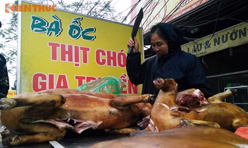 Ha Noi muon cam ban thit cho o noi thanh tu nam 2021