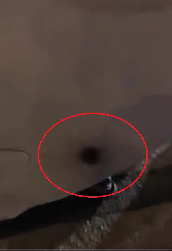 Bat doi tuong no sung gan ben xe My Dinh-Hinh-2