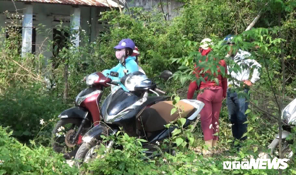 Những ngày qua, nhiều người lùng mua đất tại huyện Hòa Vang khiến nhiều người dân bán cả ruộng đồng.