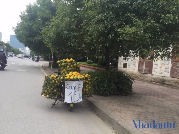 Cam sieu re, khong ro xuat xu ban day duong Ha Noi