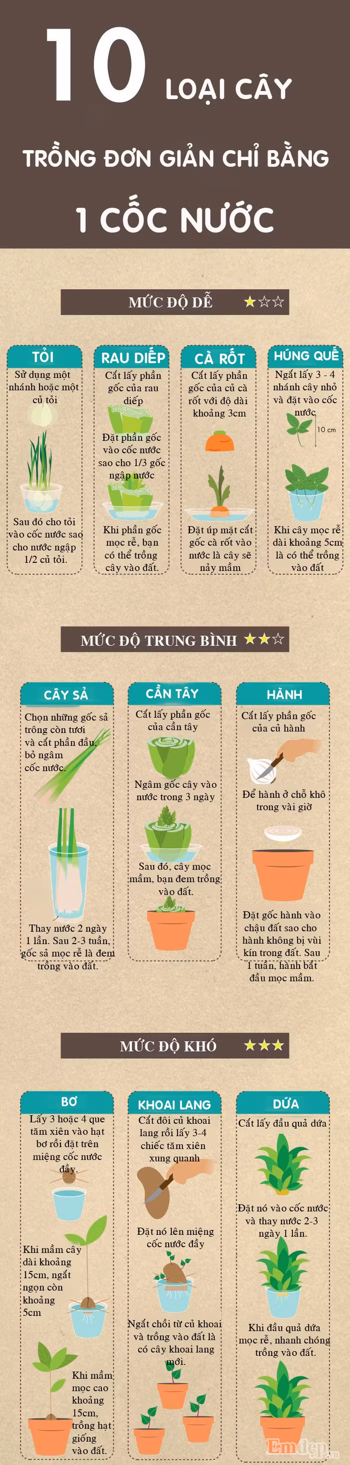 Trong 10 loai rau, cu, qua chi bang...1 coc nuoc