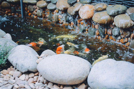 Chi tien ty cai tao, ngoi nha xanh mat cua Ho Quang Hieu bung sang-Hinh-5