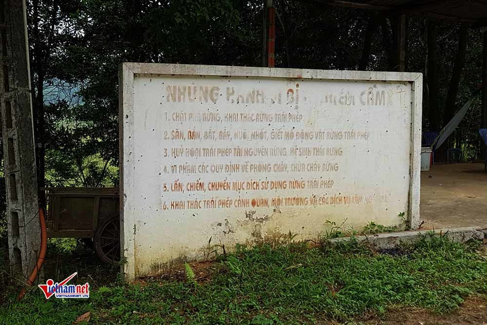 Khu du lich tam linh sung sung tren dat rung Thach That, Ha Noi-Hinh-7