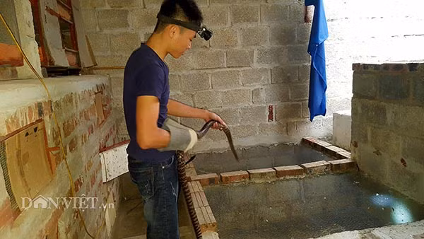 Trại rắn Minh Đức được thiết kế với 2 kiểu chuồng đó là chuồng trên cao và bề (hầm) nuôi.