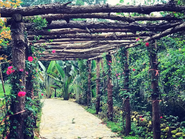 Theo Thùy Dương, sau khoảng thời gian 3-4 năm đi lại, tha lôi đủ thứ thì giờ, ngôi nhà cũng dần thành hình với các góc thư giãn mà cô muốn như sân bóng rổ, vườn trái cây, vườn rau xanh, khu vườn nướng, và đặc biệt là đồi hoa hồng.