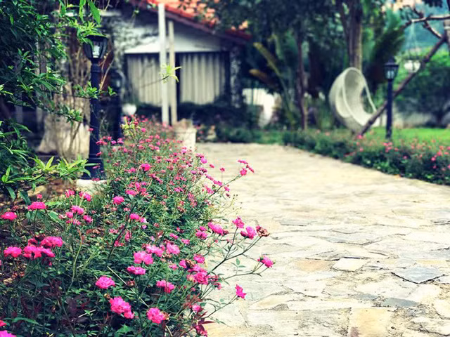 Dương rất thích hoa hồng và mất nhiều công sức để đắp đất tạo đồi giả, dựng chòi để trồng hoa. Lúc mới trồng, Dương chưa có nhiều kinh nghiệm tạo đồi bằng đất màu nên hoa hồng mua về để phủ kín đồi chết gần hết vì đất xấu, cứng, nhiều sỏi và ít chất dinh dưỡng.