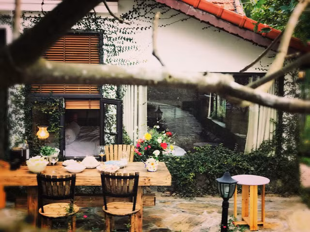 "Tôi đã gần như bỏ đi toàn bộ đồi hoa đã trồng và bắt đầu nghiên cứu lại từ đất trồng, phân bón, giá thể, cách cắt tỉa cho hoa... như một nông dân thực sự", Dương kể.