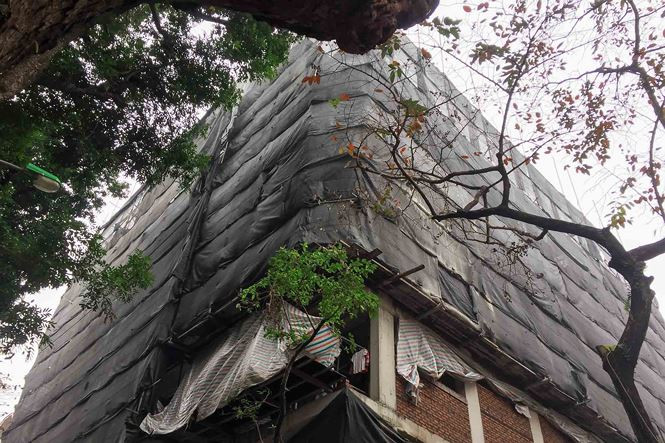 Lo ly do cao oc sai phep canh Ho Guom cham thao do-Hinh-7