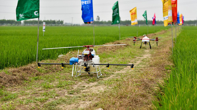 Cận cảnh 2 chiếc máy bay không người lái thực hiện phun thuốc trừ sâu ở Bắc Ninh. Ảnh: Toàn Vũ.