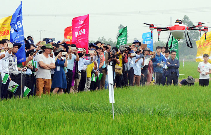 Máy bay không người lái thu hút sự quan tâm của rất đông bà con nông dân huyện Lương Tài.