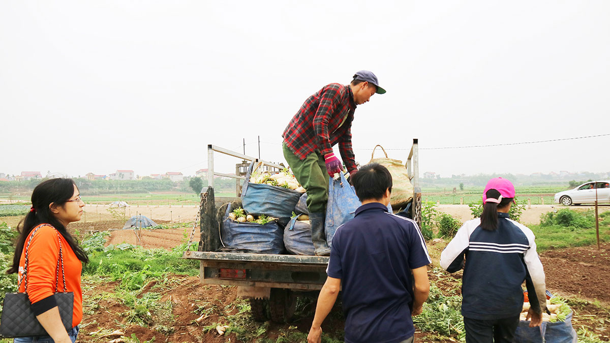 Giai cuu khan cap: Cu cai tang gia gap 3-Hinh-3