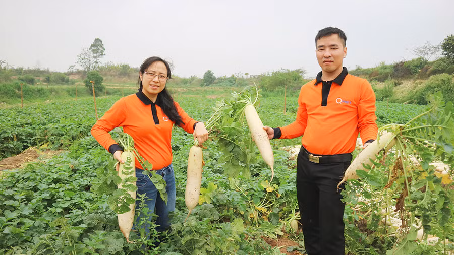 Giai cuu khan cap: Cu cai tang gia gap 3