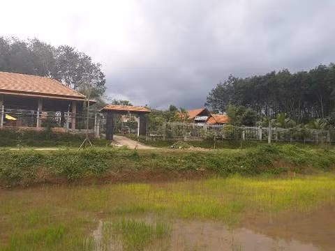 Kon Tum: Vo can bo Cuc thue xay cong trinh khung tren dat nong nghiep-Hinh-5