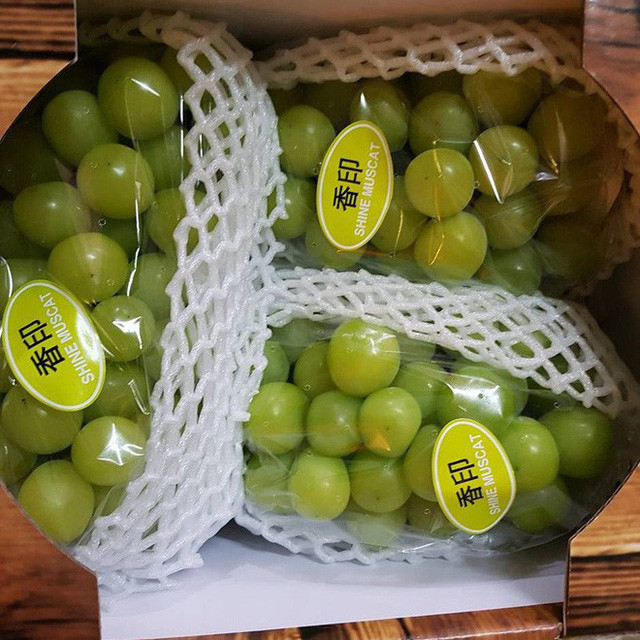 Nho sữa Hàn Quốc.