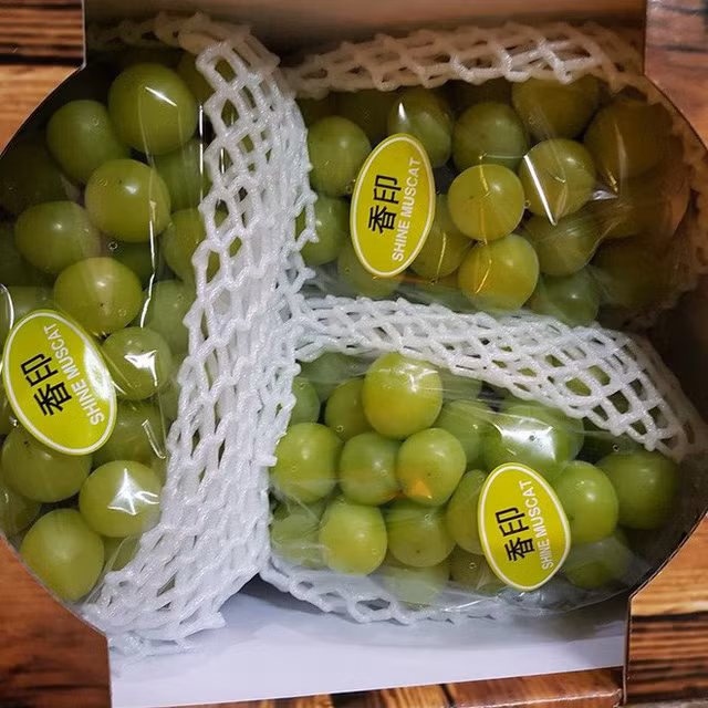 Nho sữa Hàn Quốc.