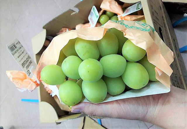 Nho mẫu đơn có giá bán trên 1 triệu đồng đang được khách hàng Việt tìm mua.