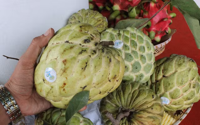 Soi nhung san vat "di" gia chat lan dau xuat hien-Hinh-5