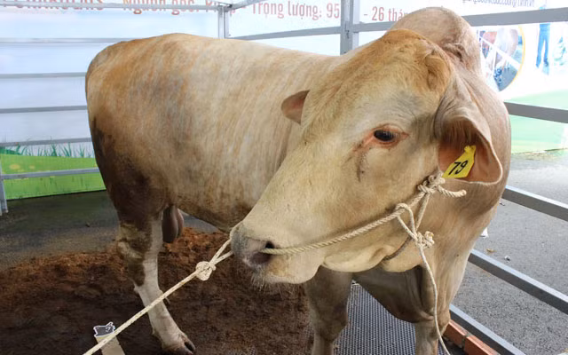 Soi nhung san vat "di" gia chat lan dau xuat hien-Hinh-11