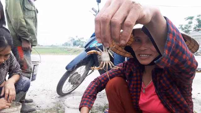 Kiem tien “de ot” nho gia cua dong sot xinh xich-Hinh-7